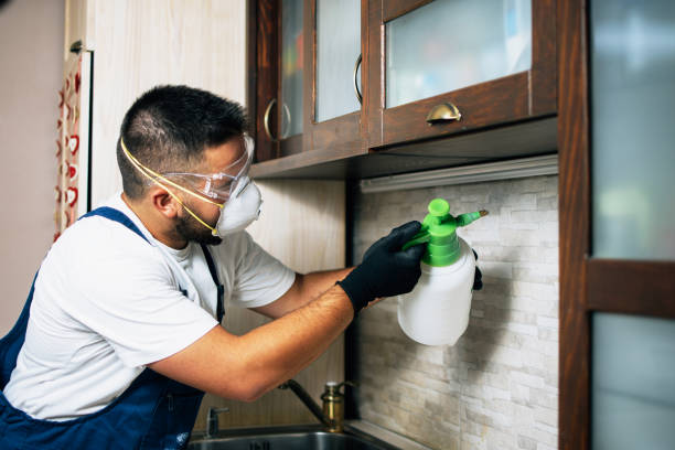 Pest Prevention Services in Palm Coast, FL