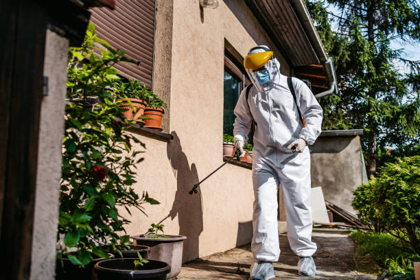 Best Bird Control  in Palm Coast, FL
