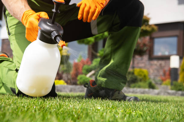 Best Commercial Pest Control Services  in Palm Coast, FL
