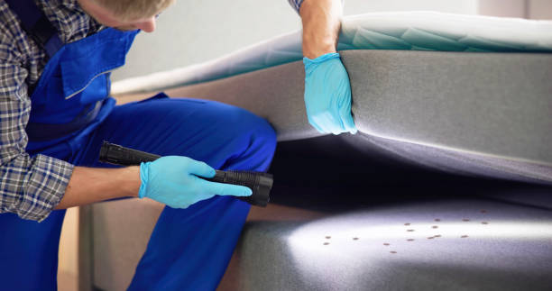 Best Cockroach Control Services  in Palm Coast, FL