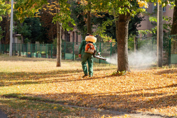 Best Mosquito Control Services  in Palm Coast, FL