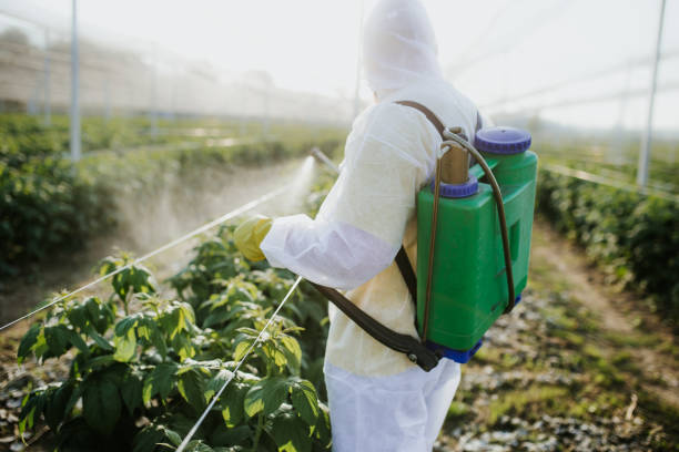 Best Residential Pest Control  in Palm Coast, FL